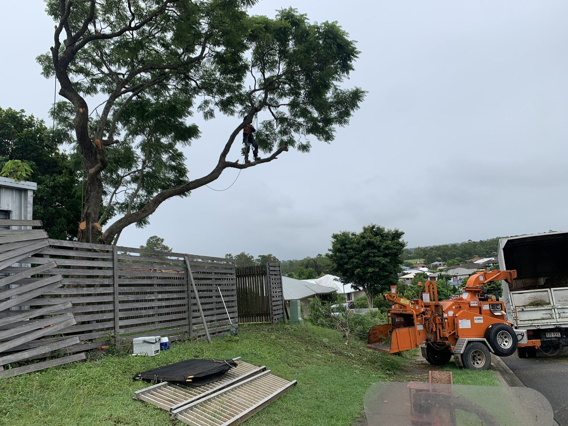 Emergency Tree Removal — Gympie, QLD — Smith Tree Solutions