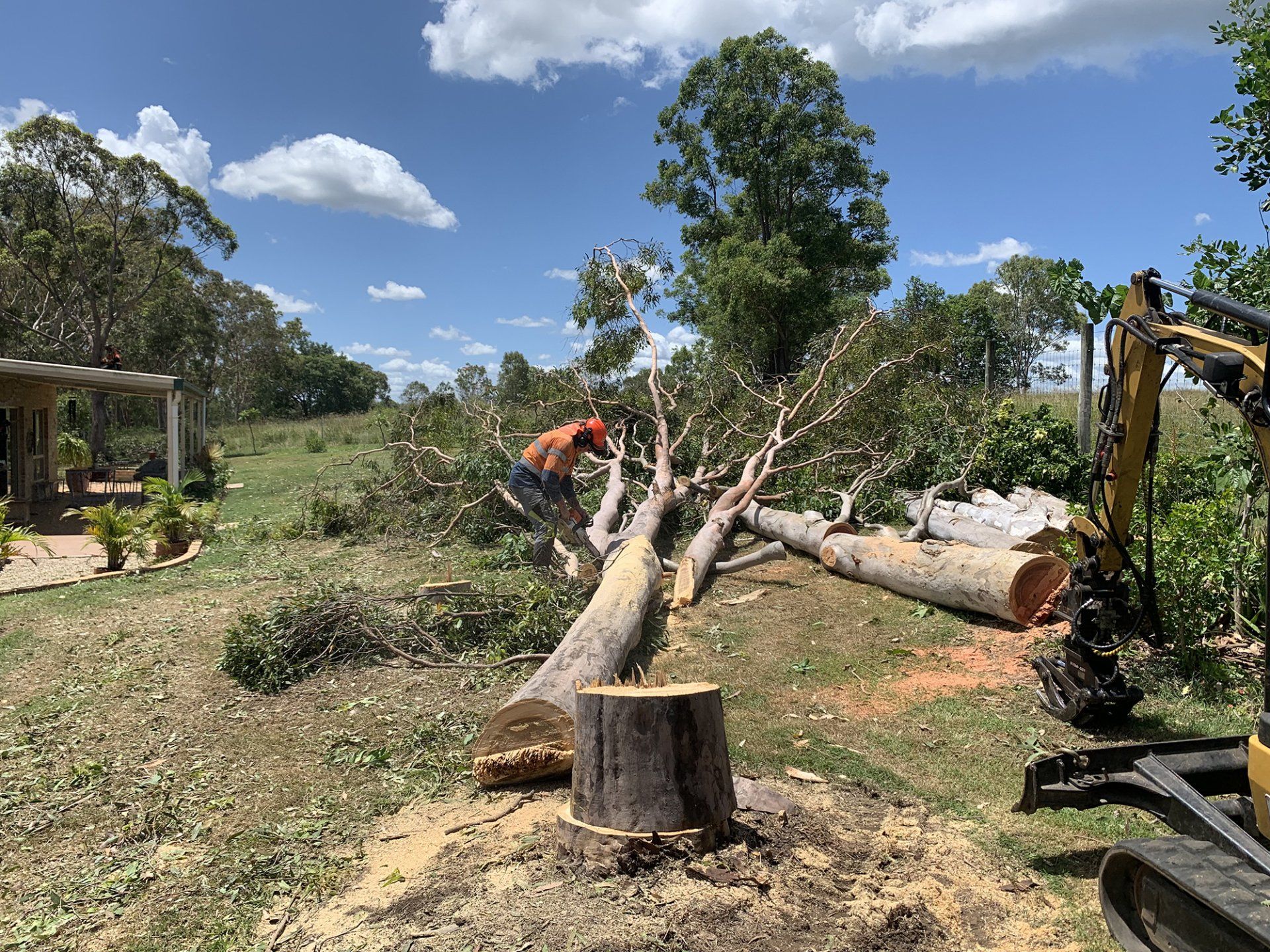 Cut Down Trees — Gympie, QLD — Smith Tree Solutions