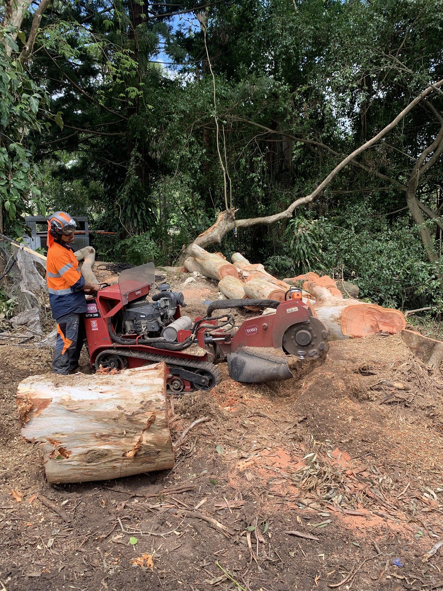 Stump Grinding — Gympie, QLD — Smith Tree Solutions