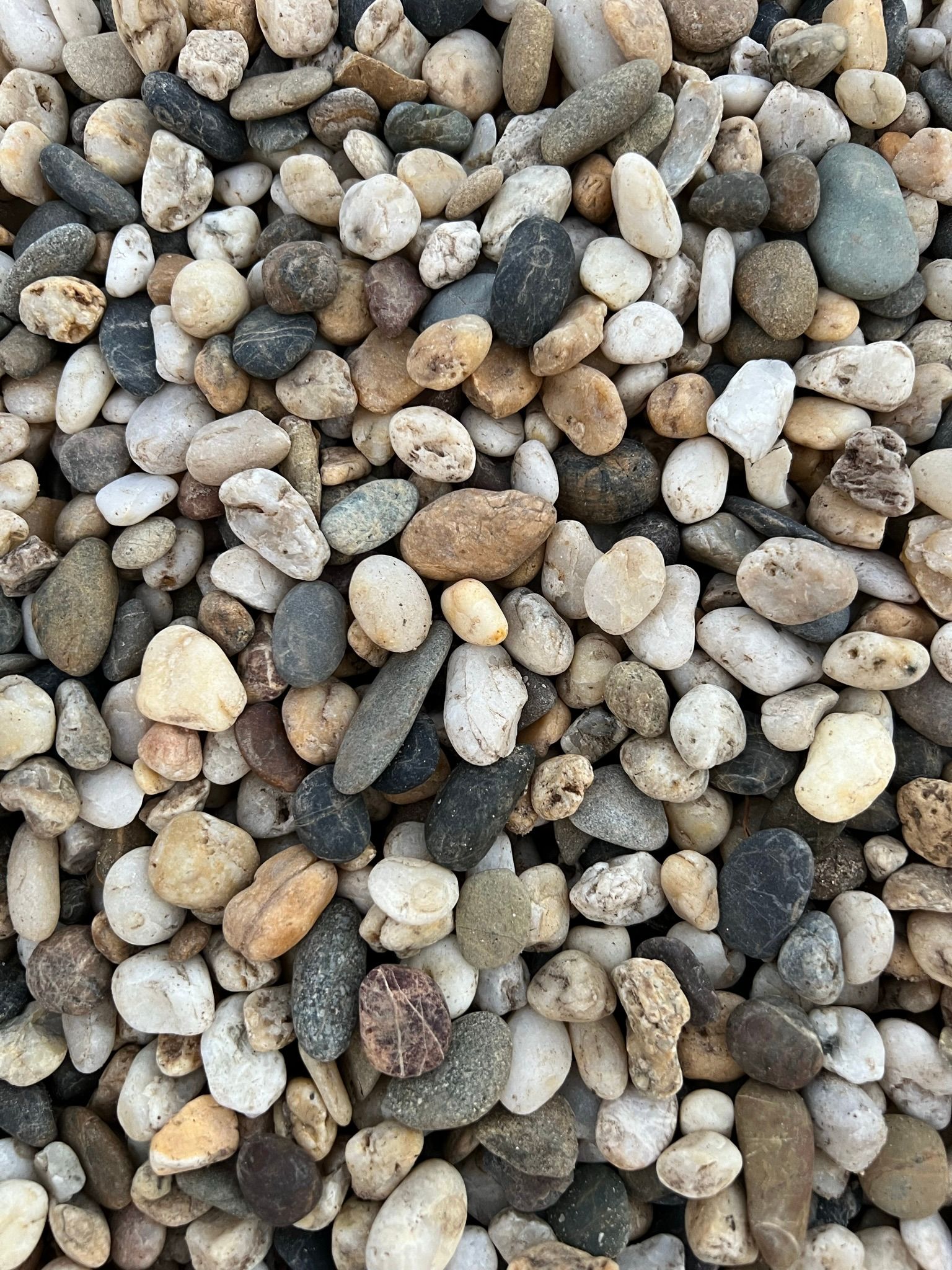 10mm Brunswick Gold — Landscaping Supplies in Myocum, NSW