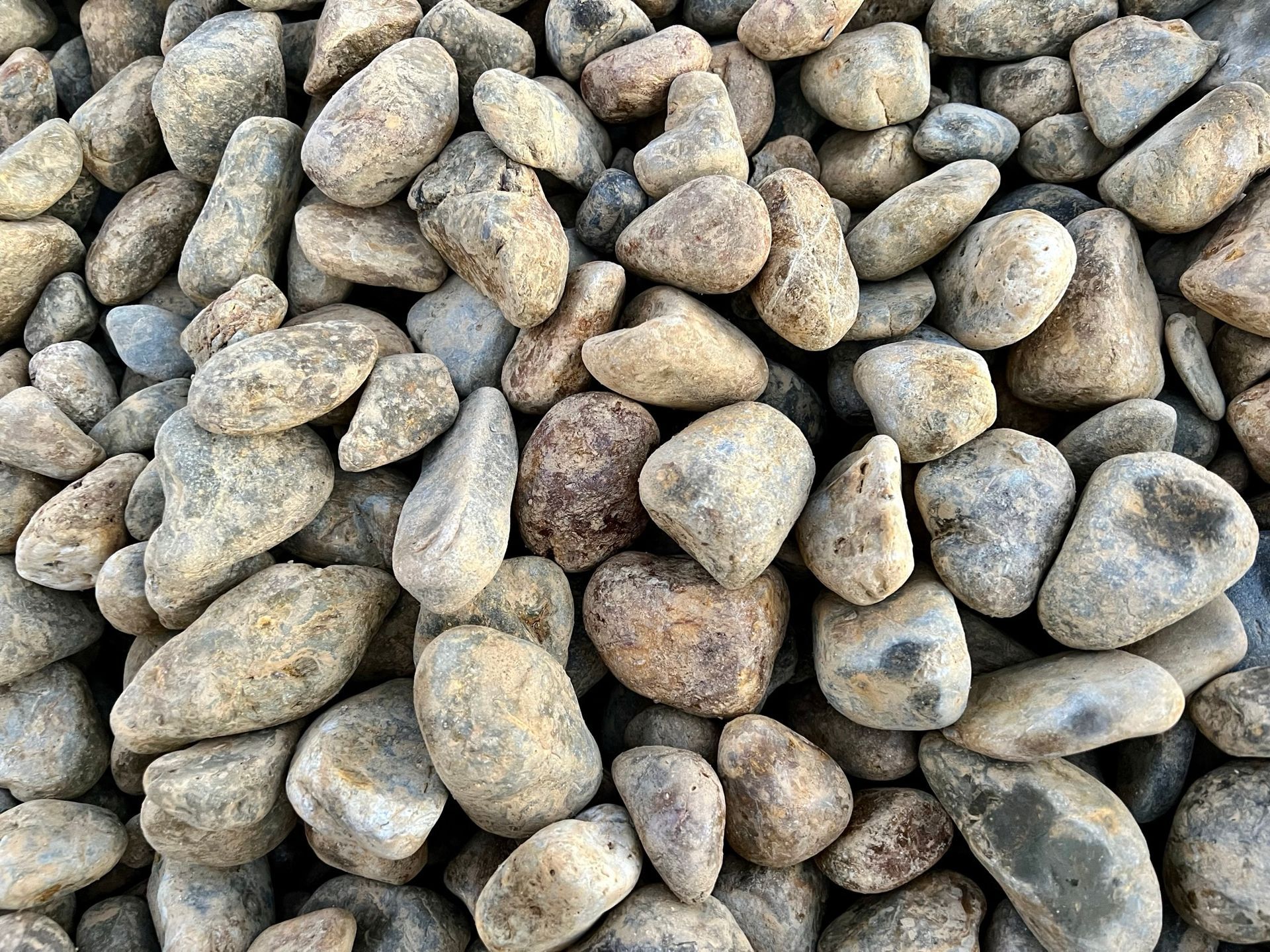 20-50mm Medium River Pebble  — Landscaping Supplies in Myocum, NSW
