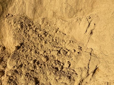 Brick Sand - Landscaping Supplies in Myocum, NSW