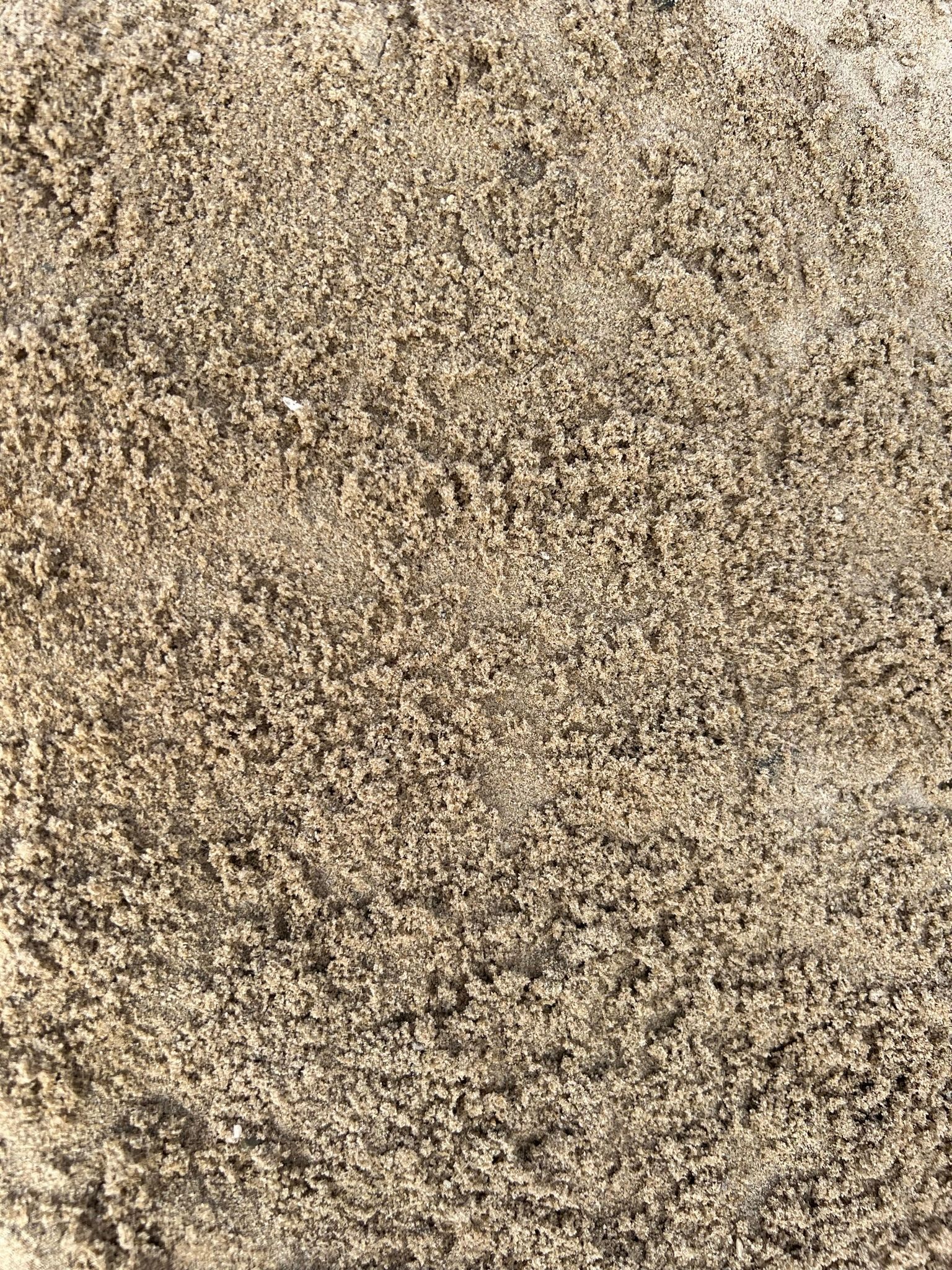 Coarde River Sand - Landscaping Supplies in Myocum, NSW