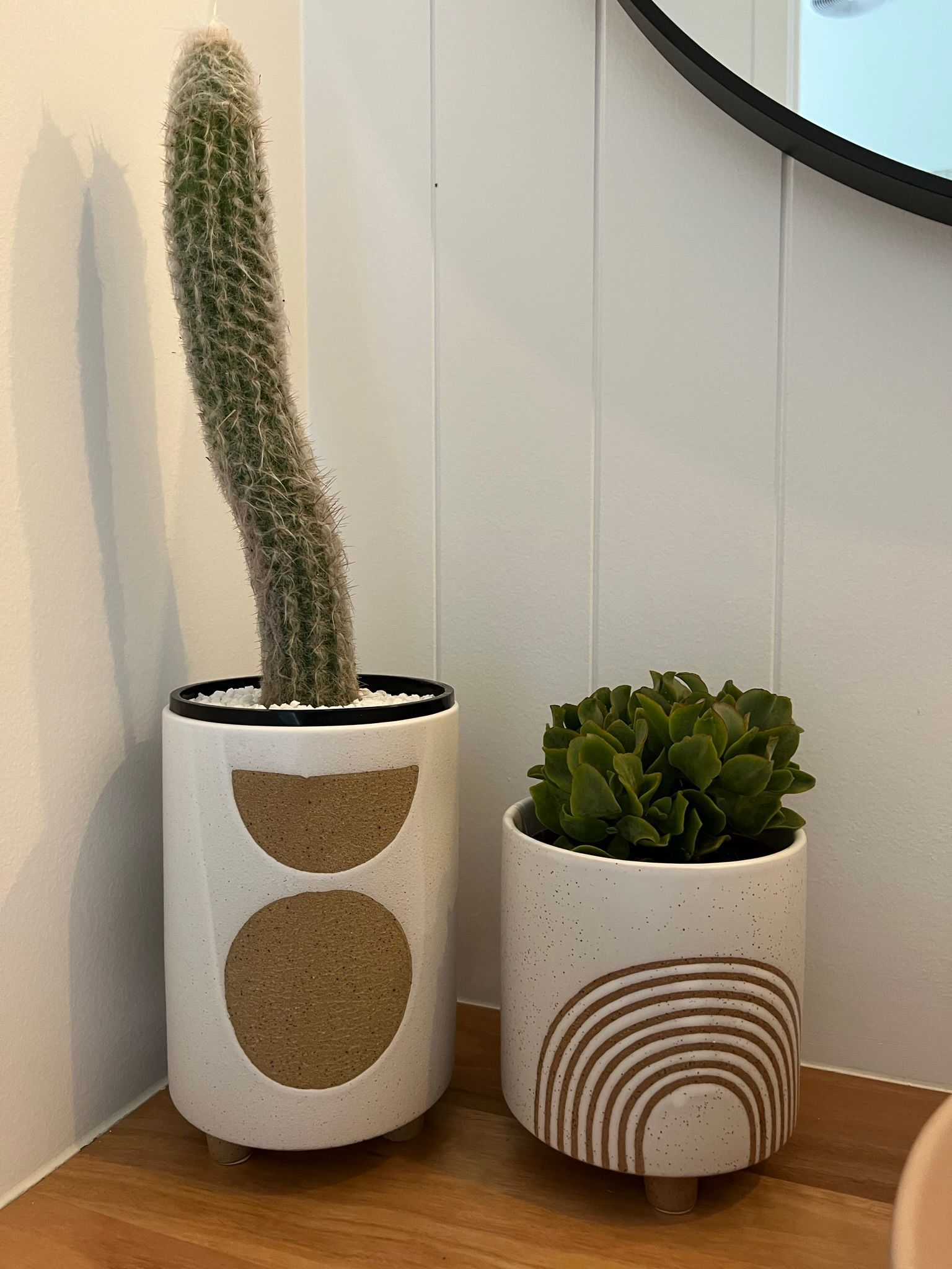 Indoor Pots — Landscaping Supplies in Myocum, NSW