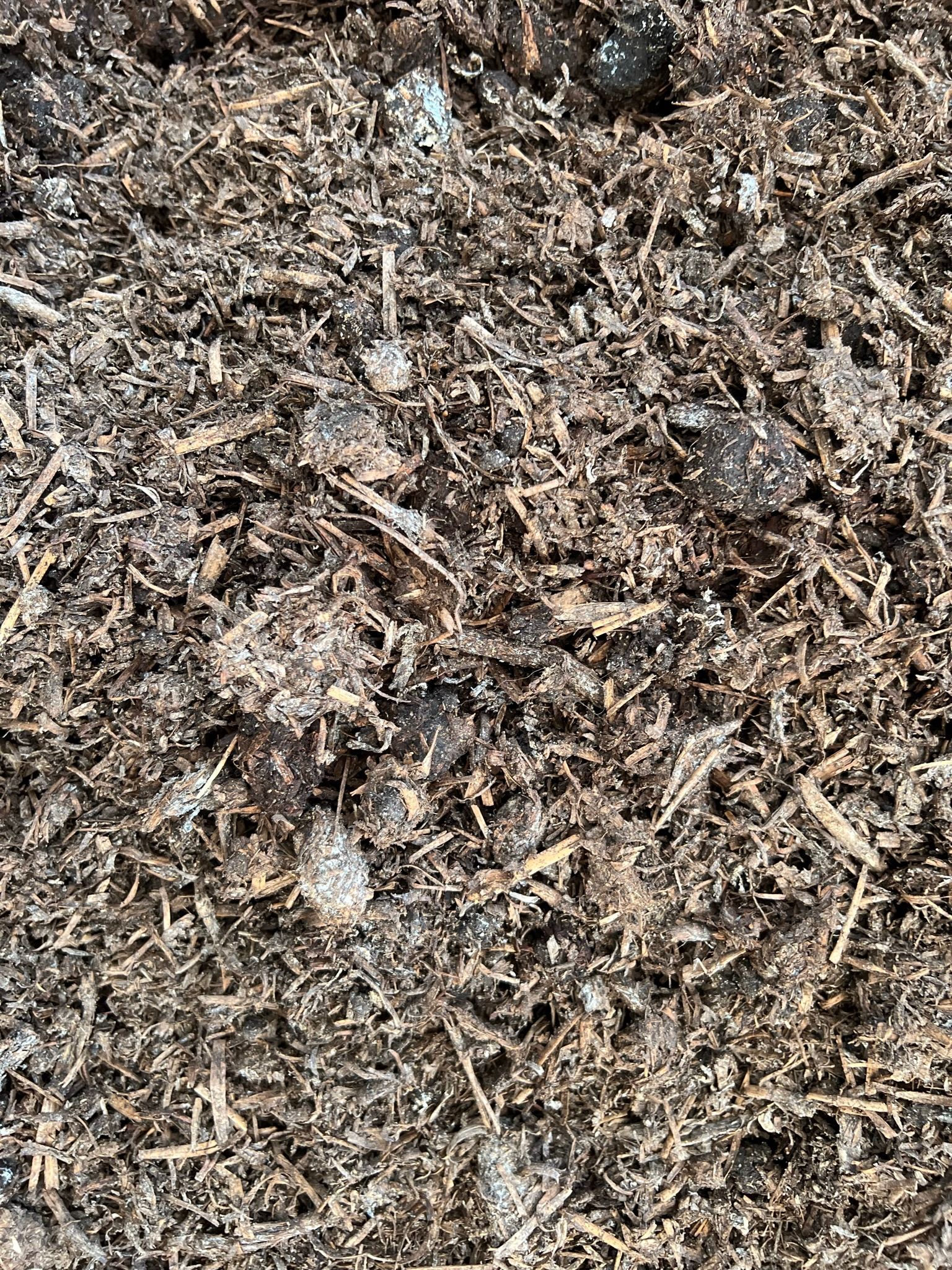 Mushroom Manure- Soil in Mullumbimby, NSW