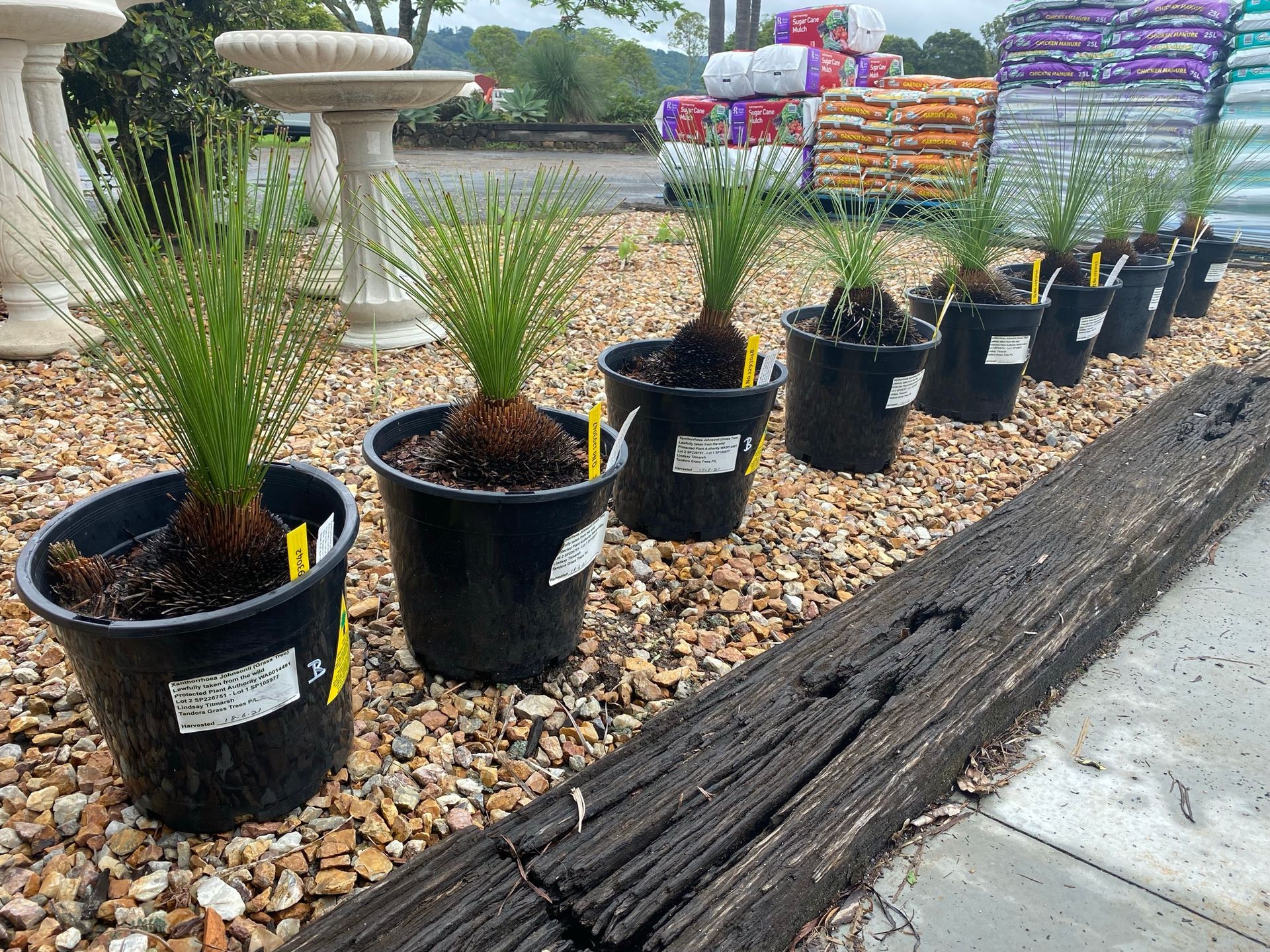 Nursery -Landscaping Supplies in Myocum, NSW