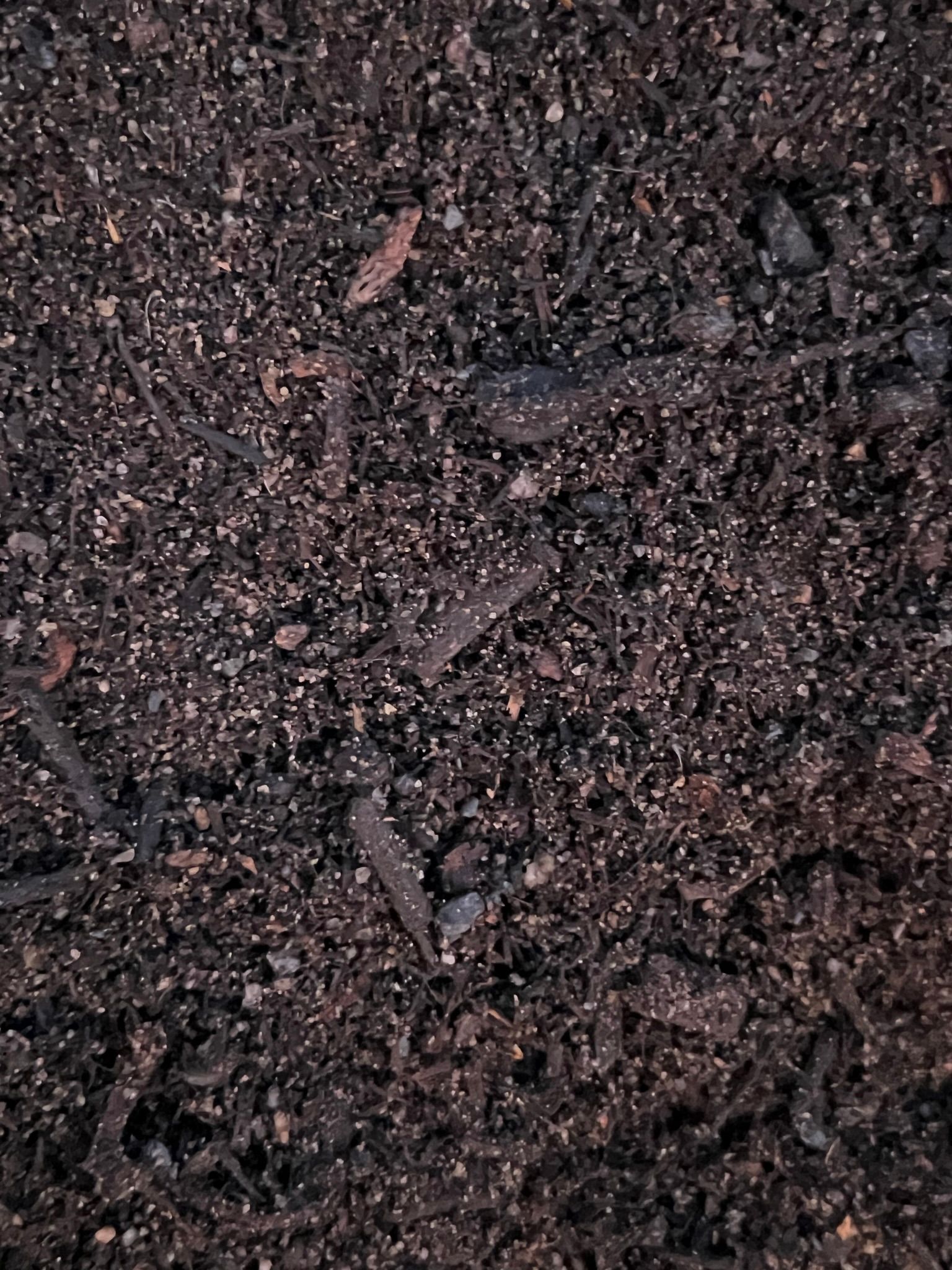 Premium Soil - Soil in Mullumbimby, NSW