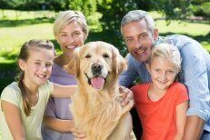 Family Pet | Elkton, MD | Cherry Hill Dog & Cat Hospital