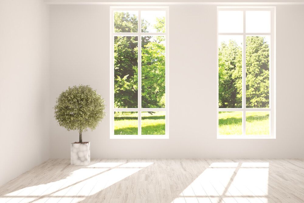 An Empty Room With Two Windows and a Potted Plant — Abstract Window Cleaning in Murwillumbah, NSW