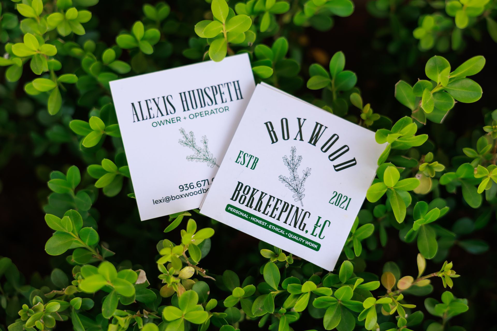 Two business cards on a bed of green foliage; one reads 