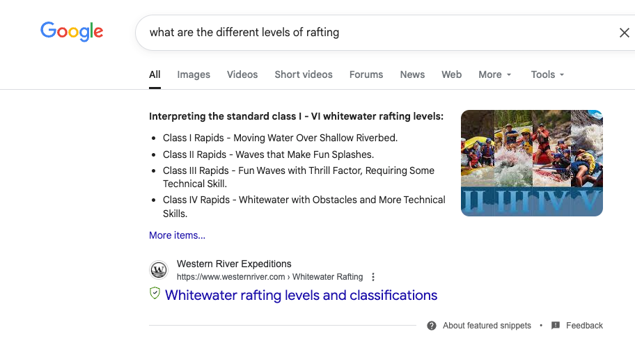 Google search results showing whitewater rafting levels, a photo of people rafting.