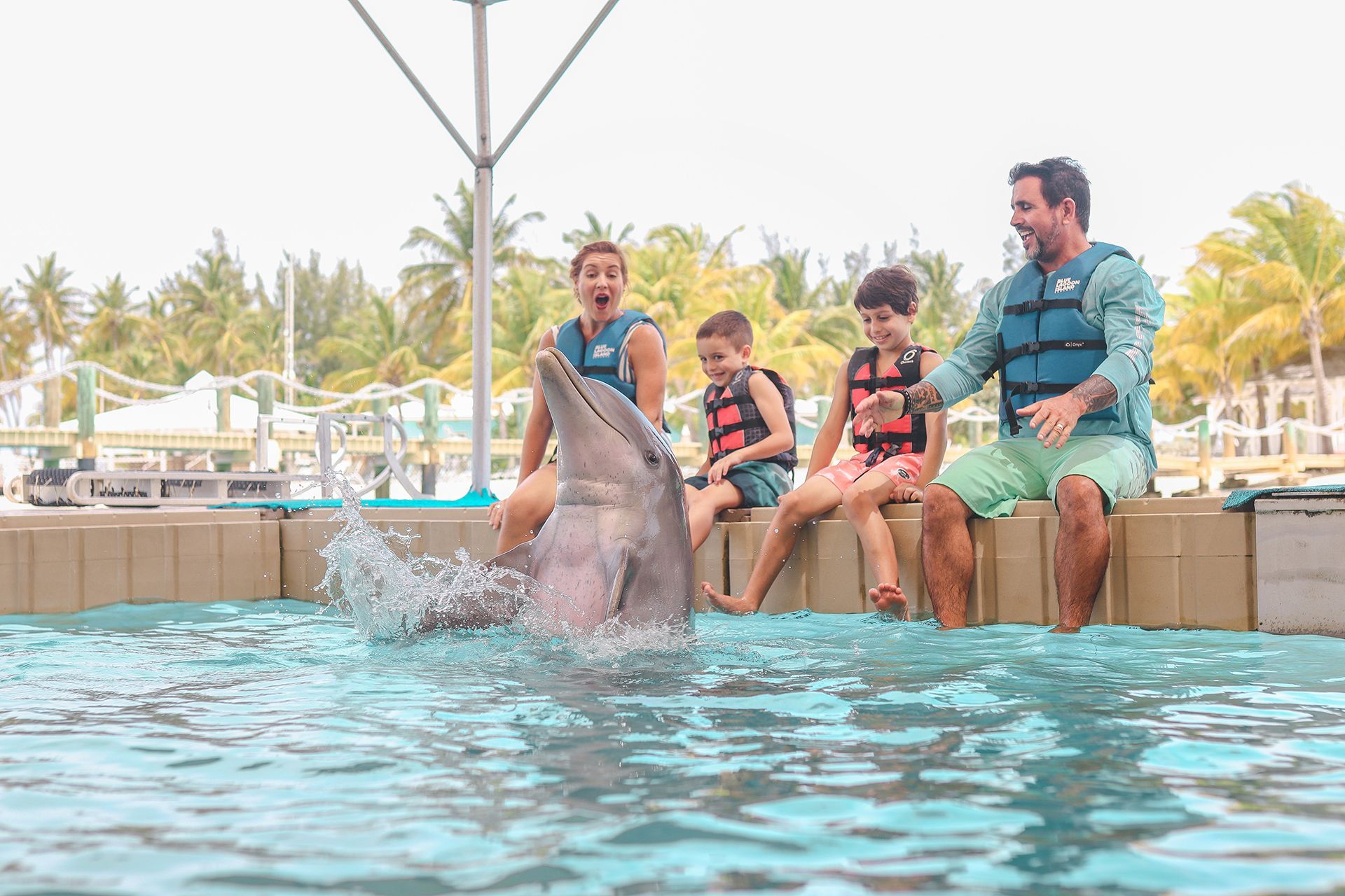Blue Lagoon Island - Dolphin Encounters
