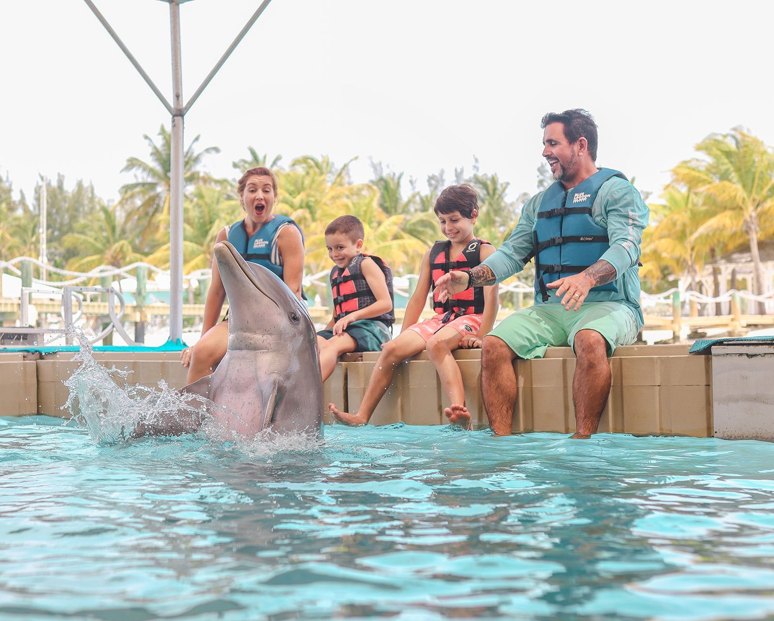 Family with dolphin in pool, one splashing, others wear vests, tropical setting.