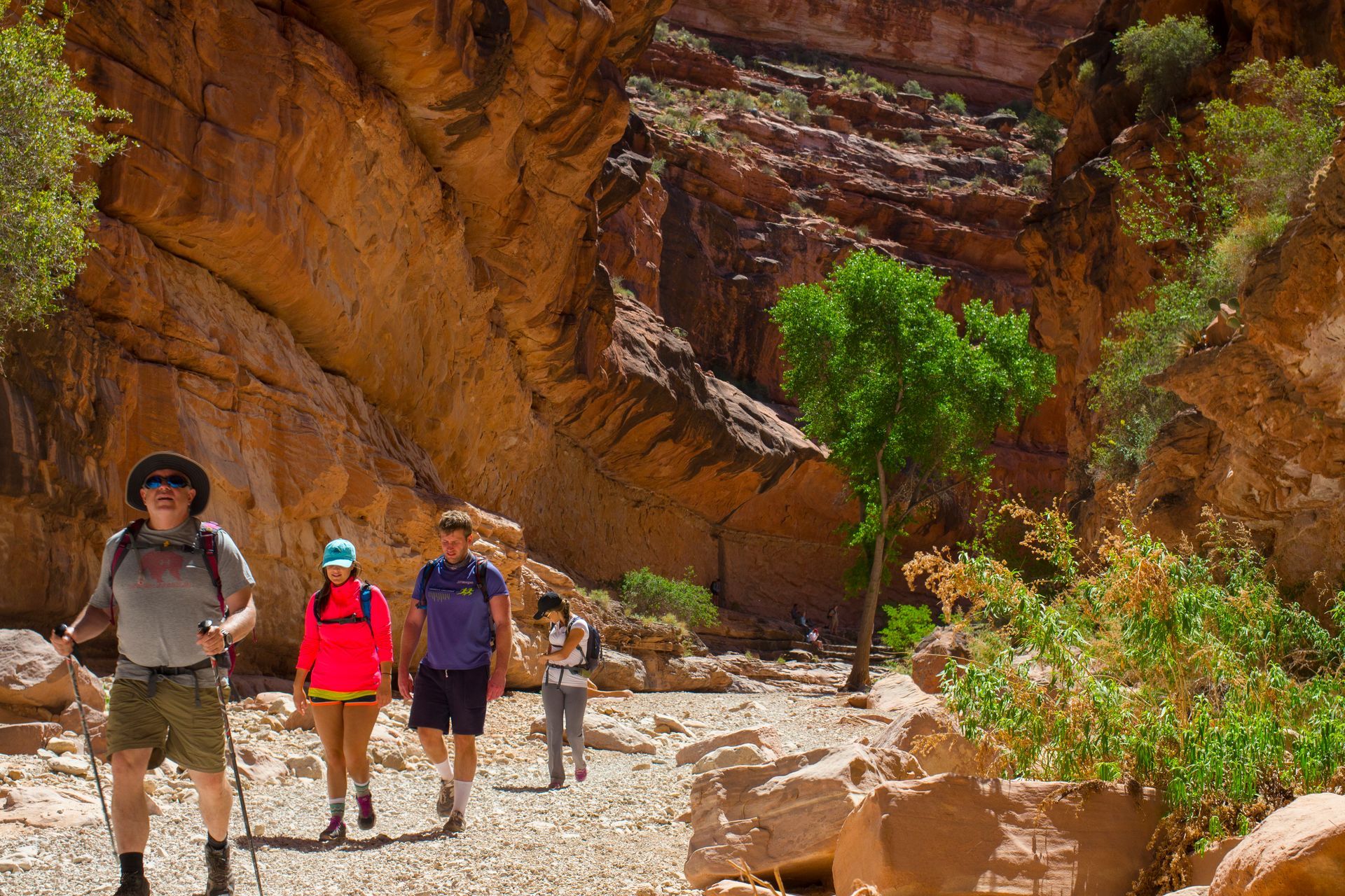 people hiking through the mountains