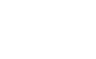 Whitewater Voyages White Logo