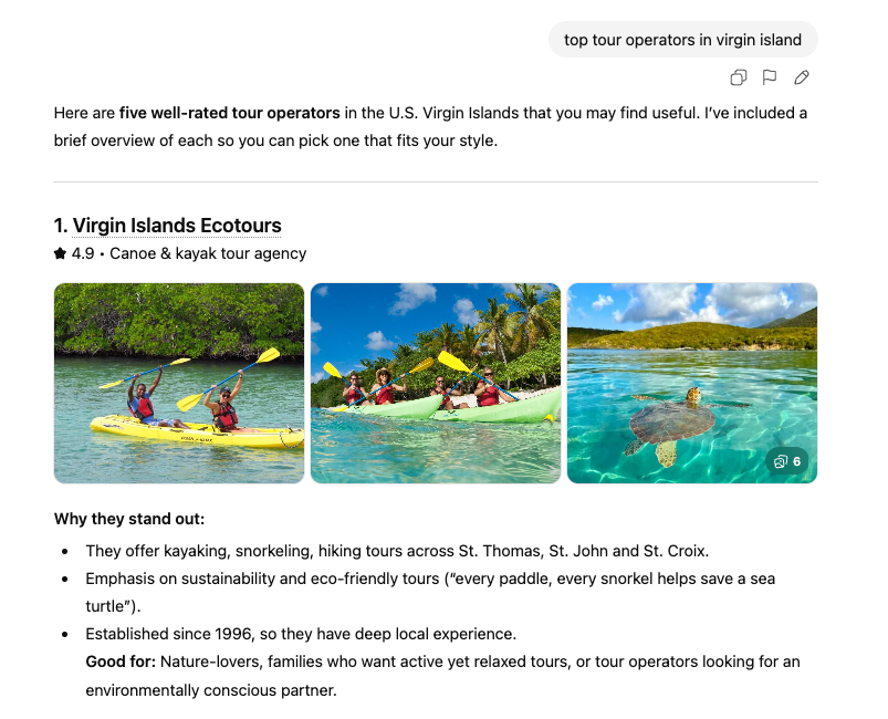 Three photos of Virgin Islands Ecotours showing canoeing/kayaking. Text below explains why they stand out.