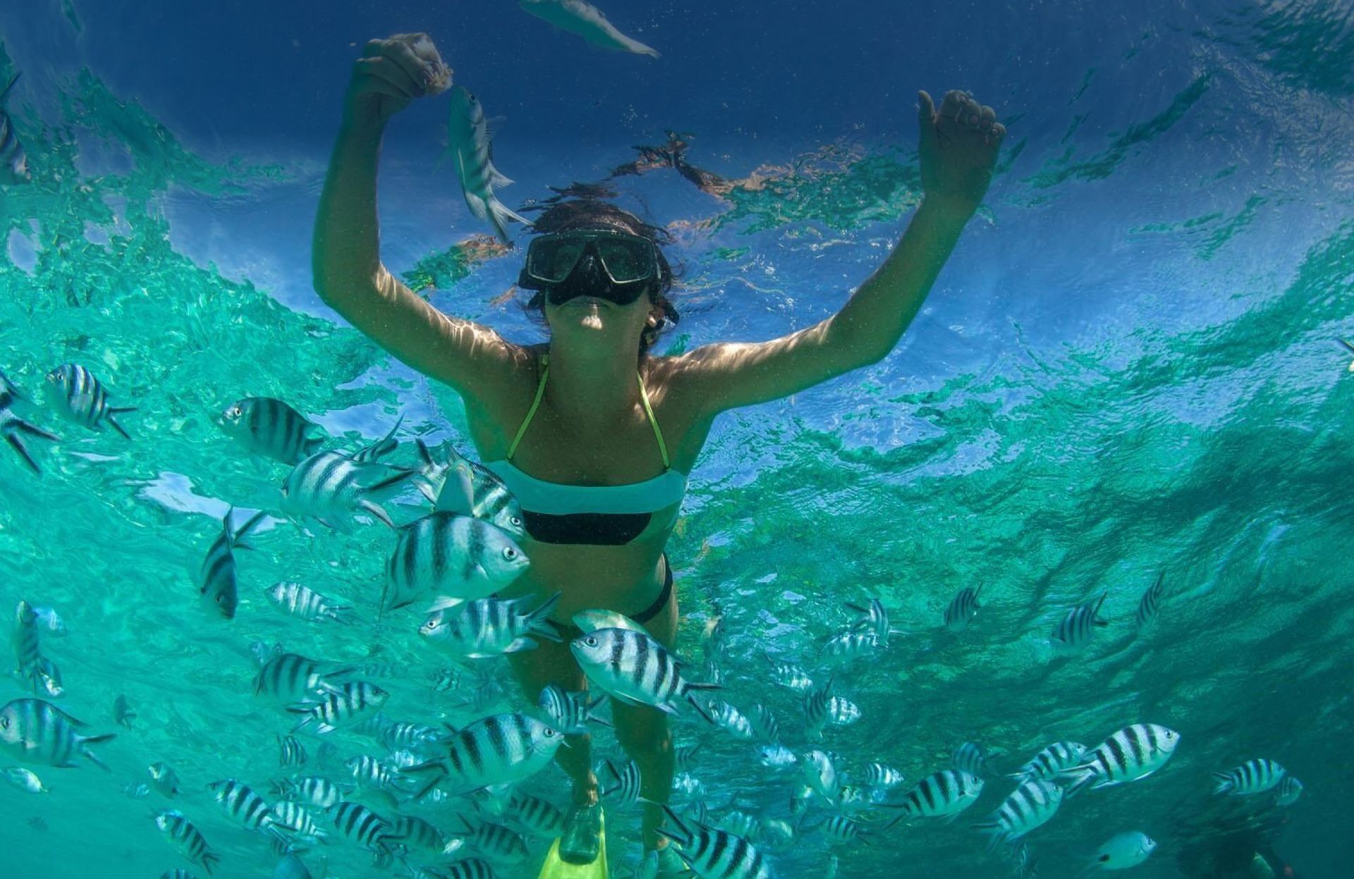 Person snorkeling with arms raised, surrounded by striped fish in clear turquoise water.