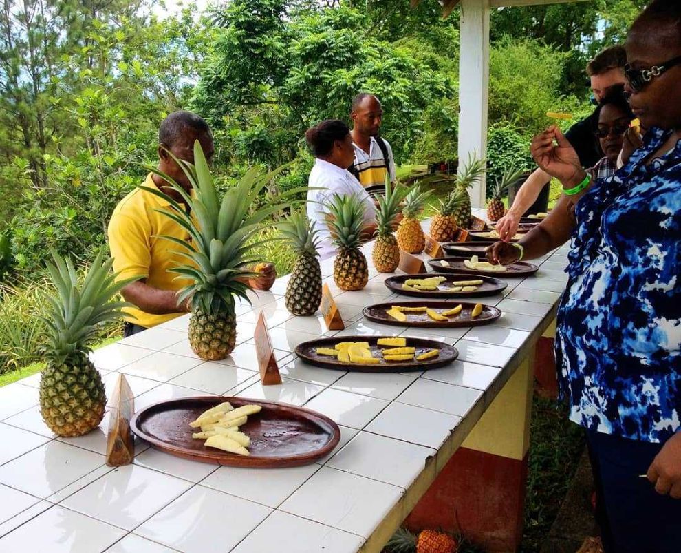 A group of people standing around a table with pineapples on it