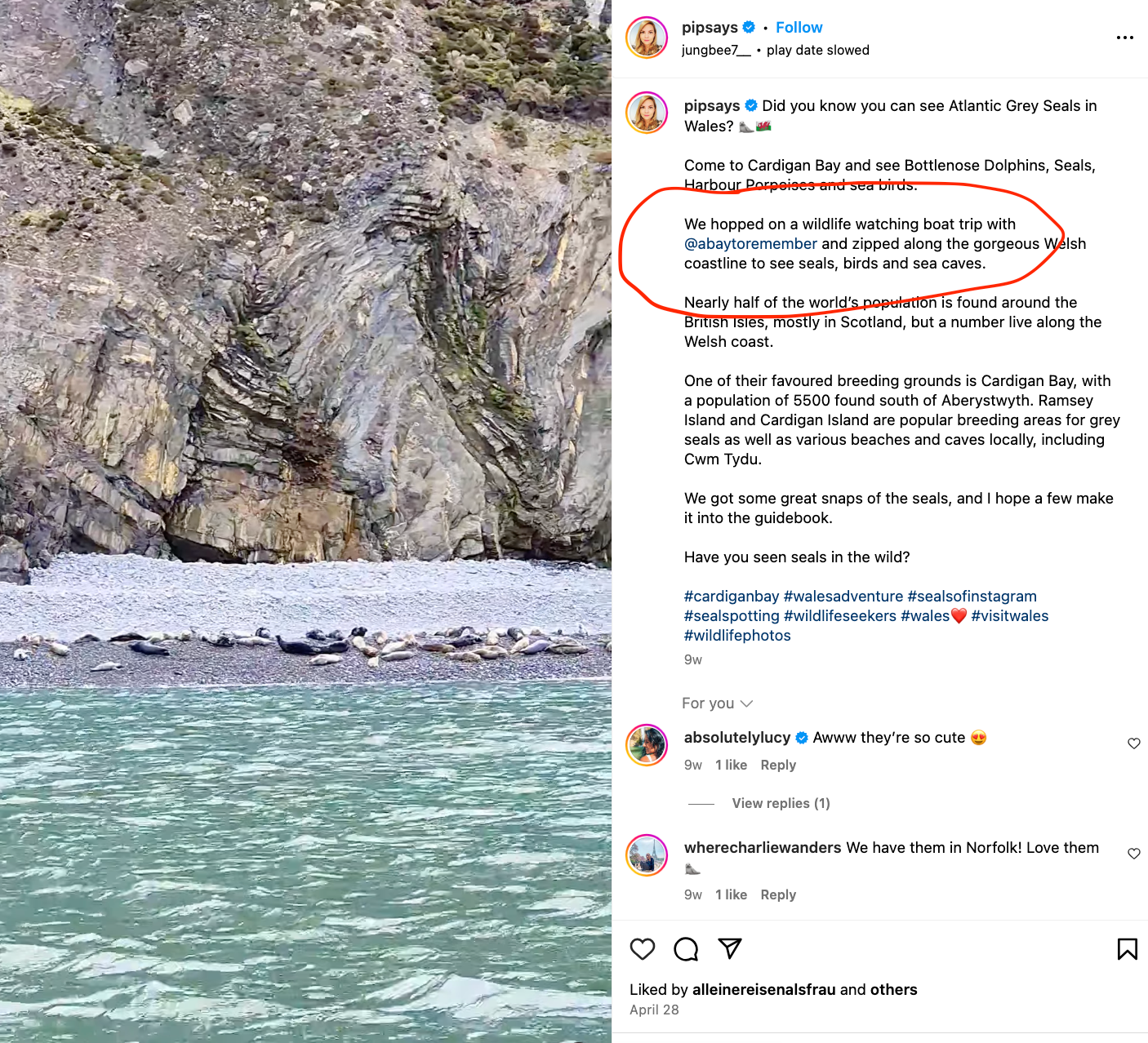 instagram screen shot of water and comments 