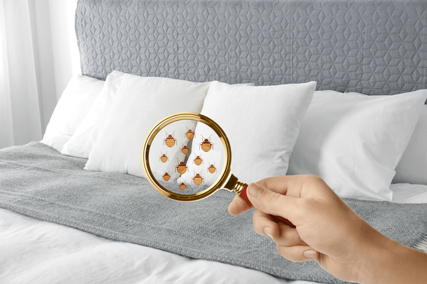 a person is holding a magnifying glass over a bed .
