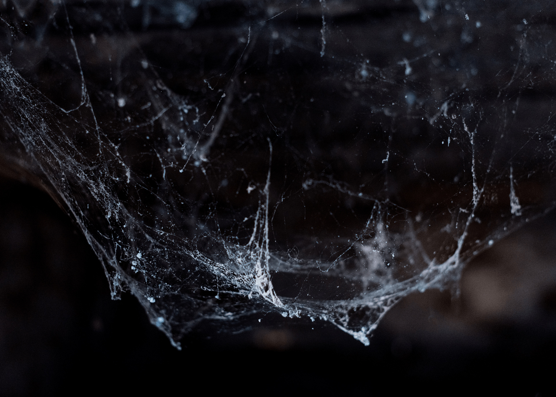 Spider-Webs