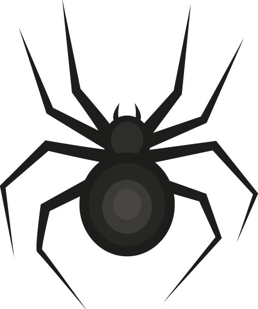 a black spider is sitting on a white surface .