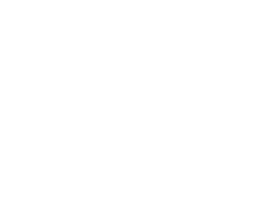 logo MFA De Snoeck Lith