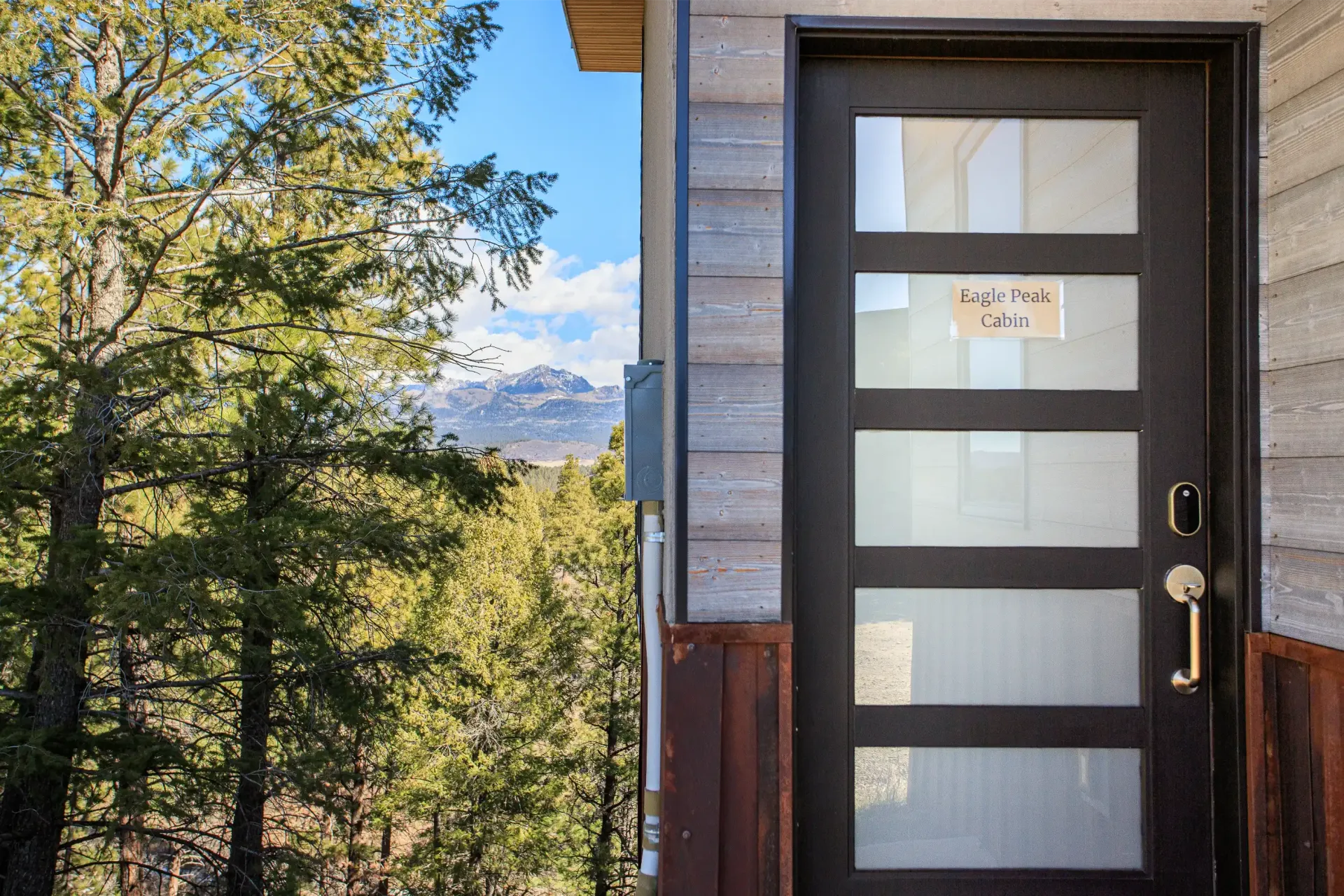 A modern door with horizontal glass panels set in a rustic wood wall, overlooking a forest with mountains in the distance.