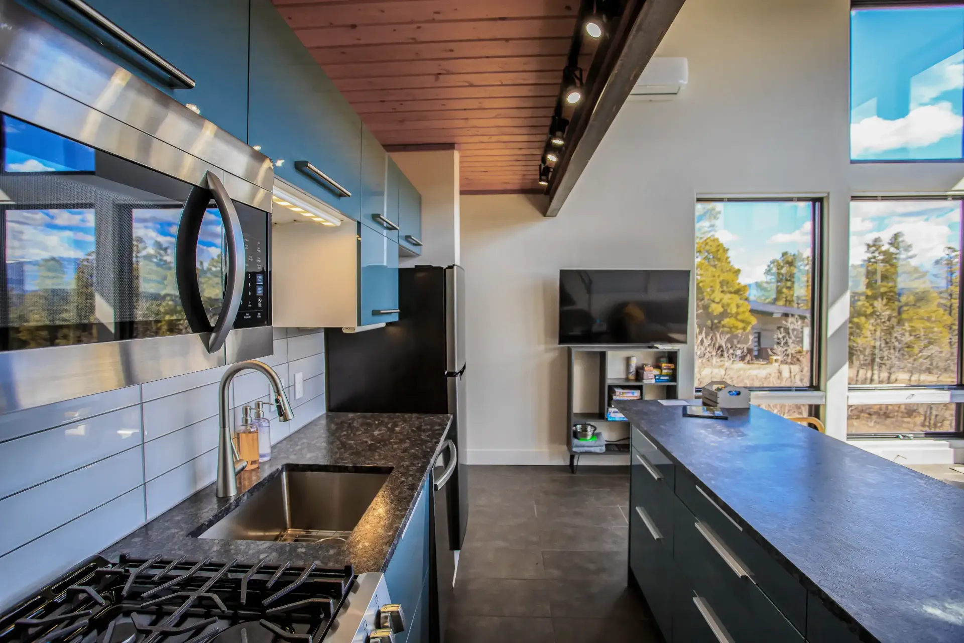 Modern kitchen with dark cabinets, a large island, stainless steel appliances, and large windows with a forest view.