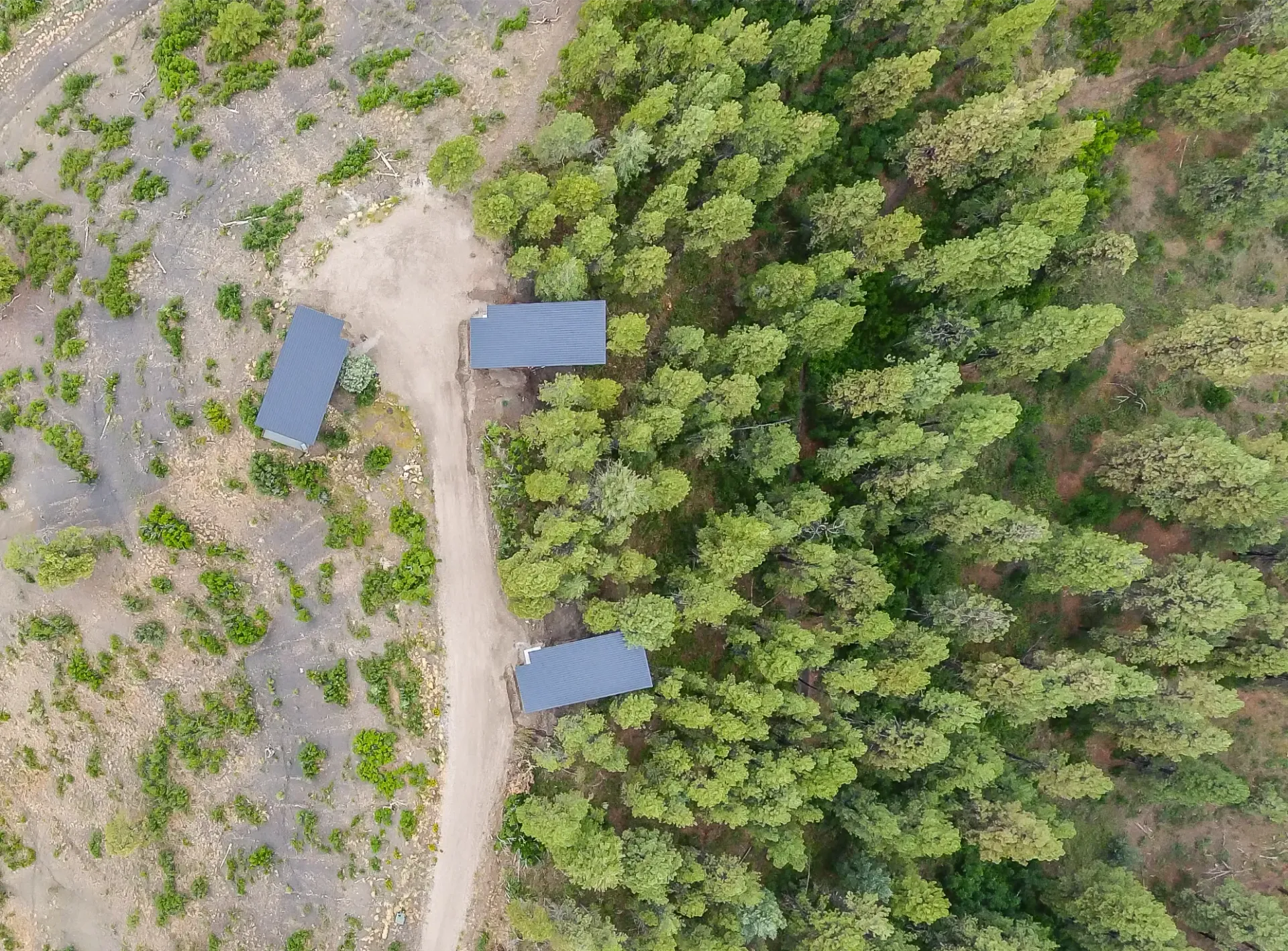 Aerial view of a dirt path leading to three rectangular structures nestled beside a dense, green pine forest.