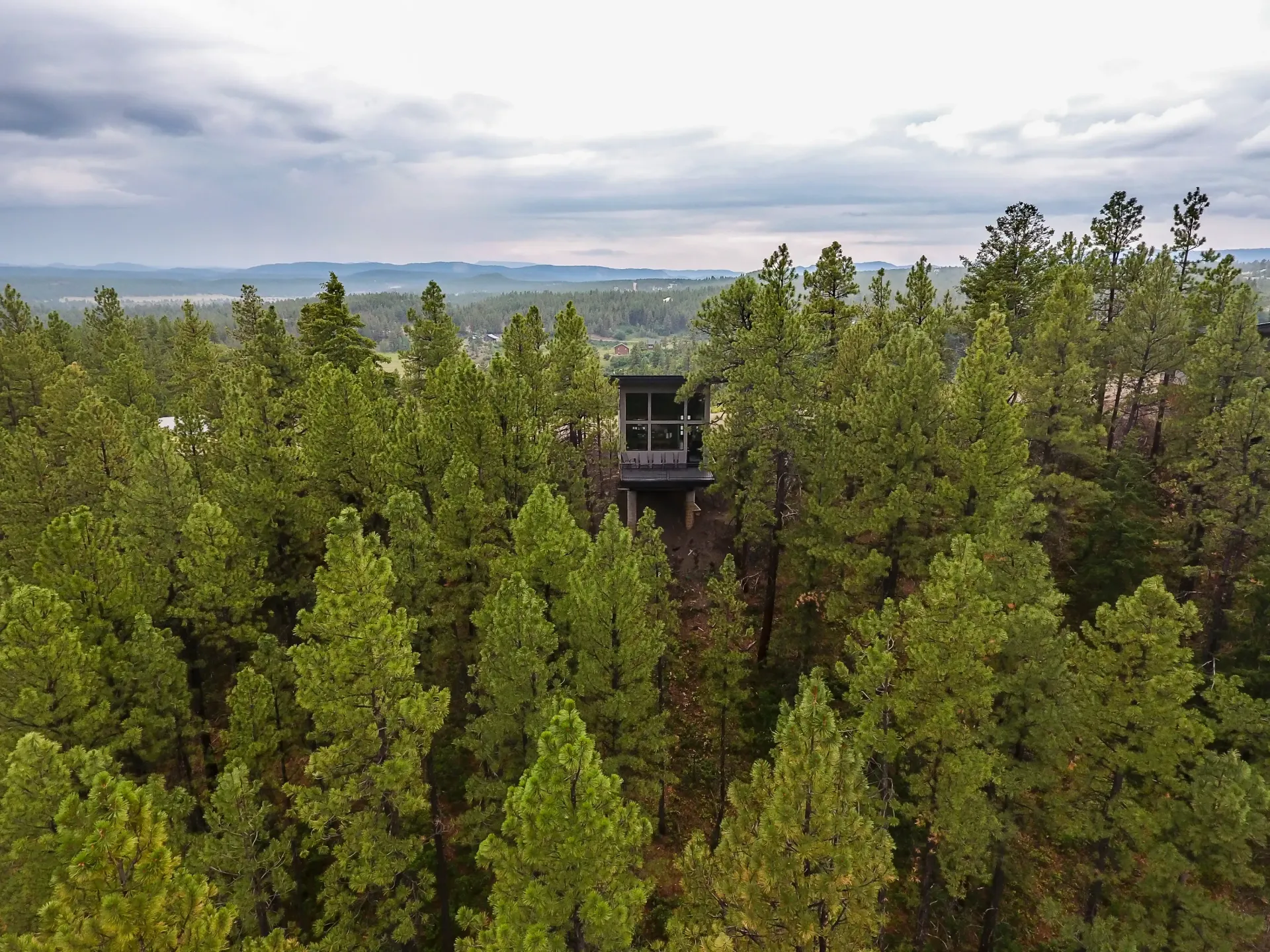 A modern cabin with a dark exterior nestled among a dense pine forest under a cloudy sky.