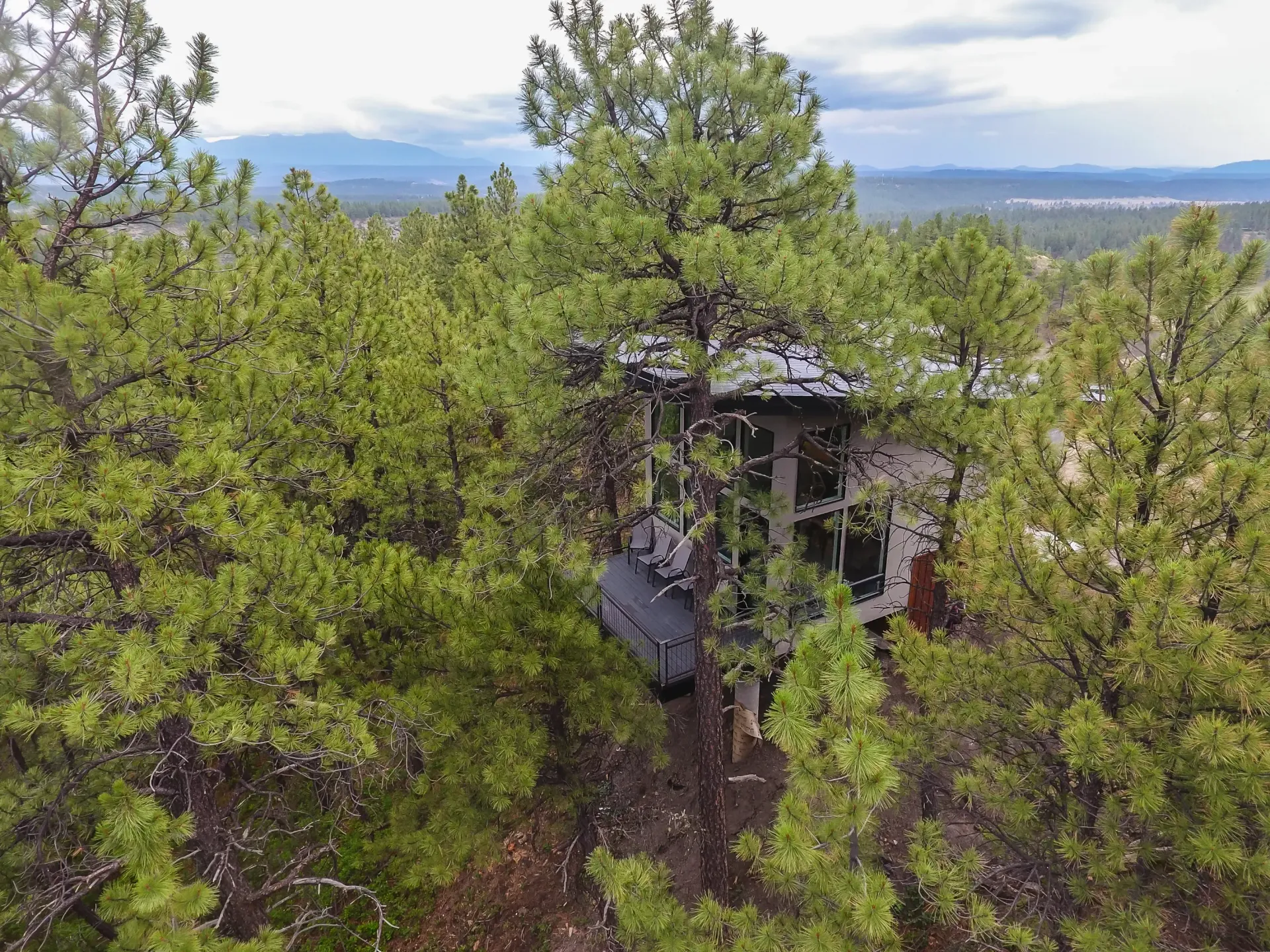 An elevated, multi-level modern cabin nestled among tall pine trees with a black deck in a forest landscape.
