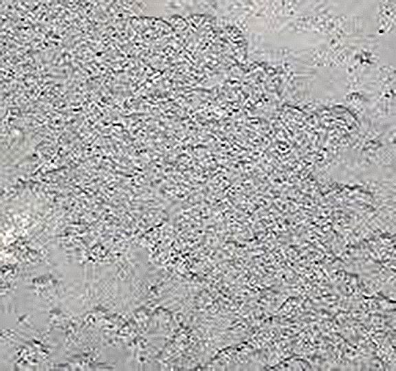 A close up of a concrete surface with a lot of small stones.