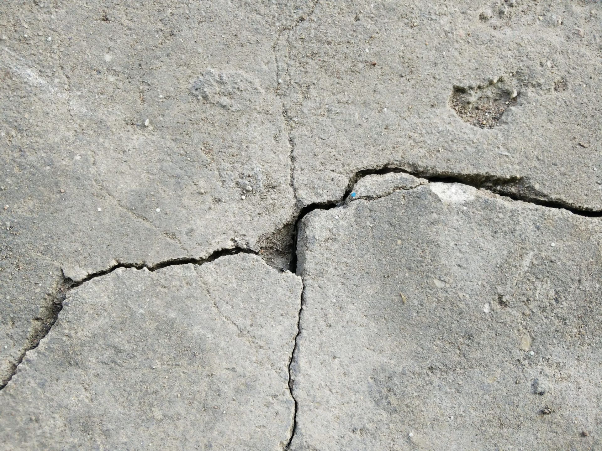 cracked concrete