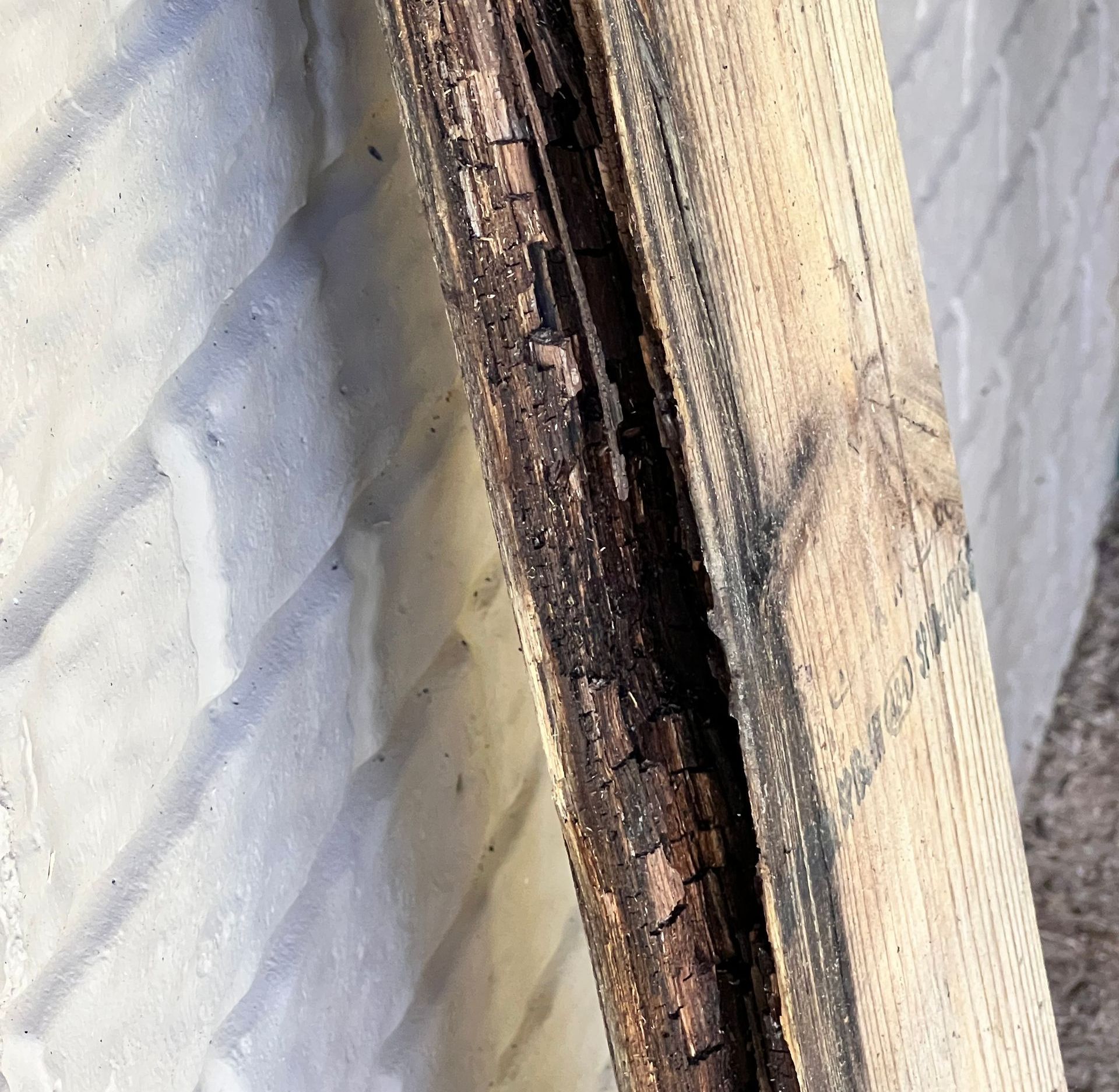 Floor joists rot prematurely