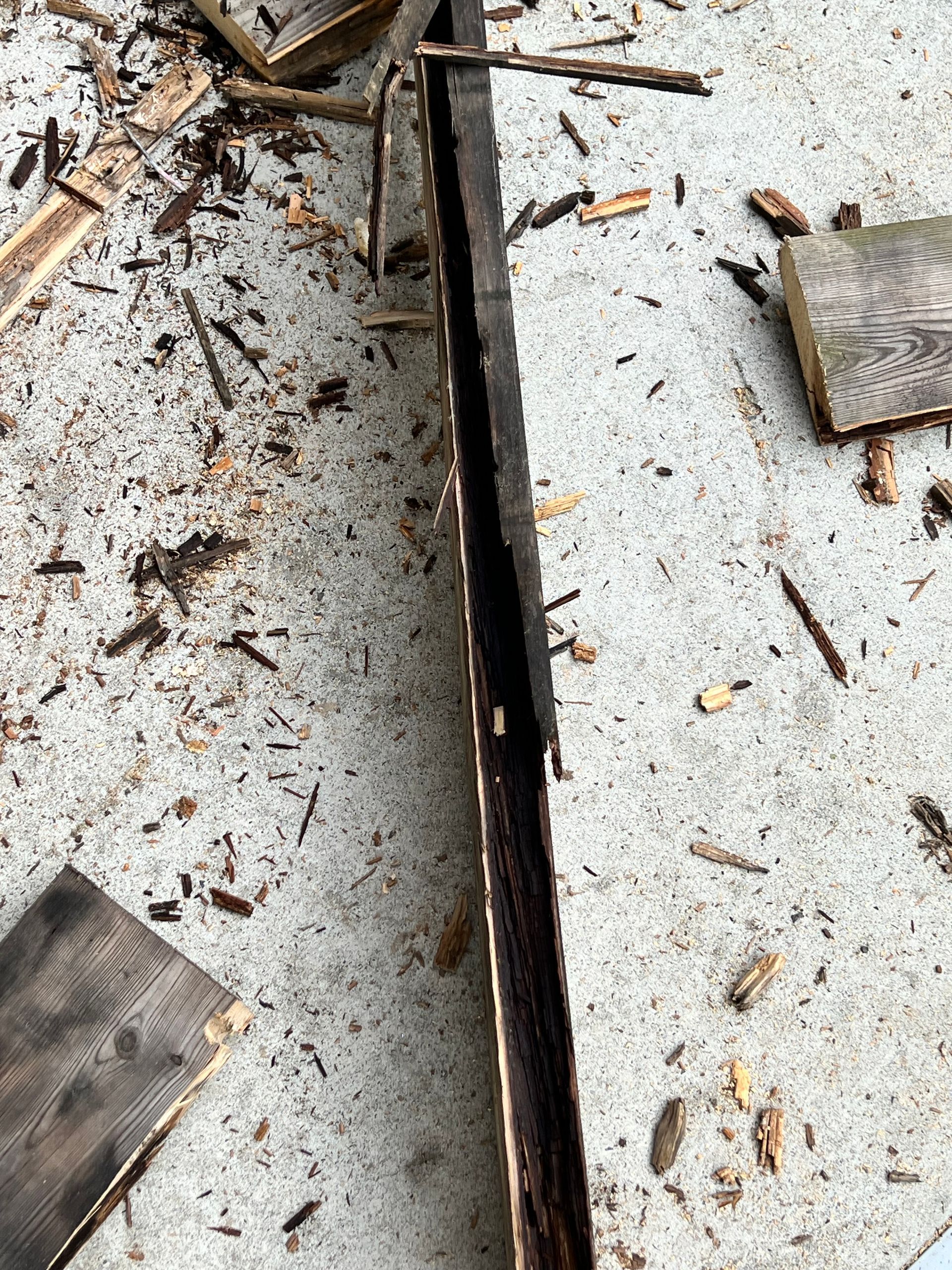 Rot causes deck collapse