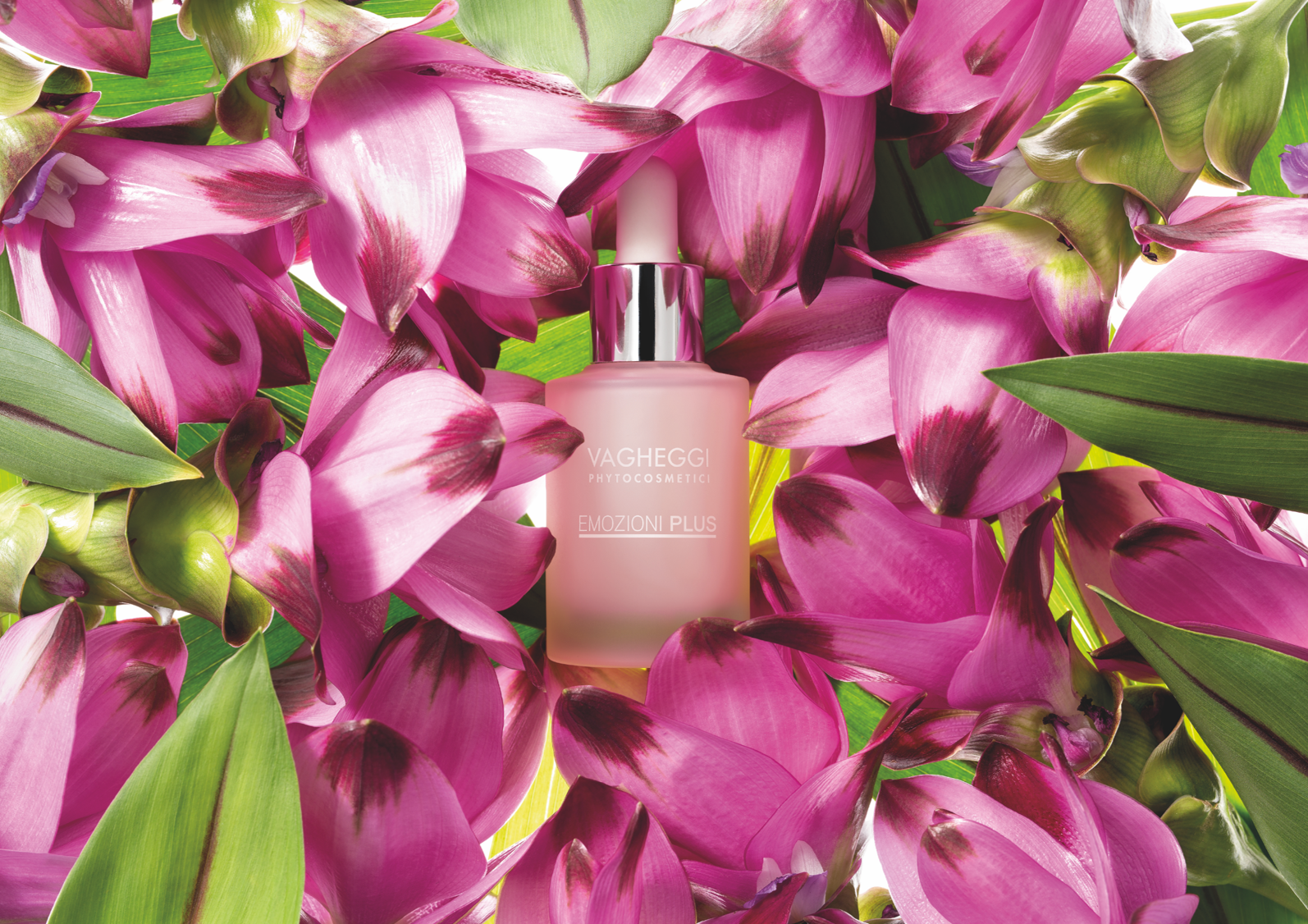 Eine Parfümflasche ist von violetten Blumen umgeben.