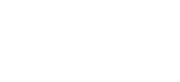 Berkhamsted Executive Cars Logo