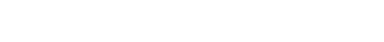 Phone Divider