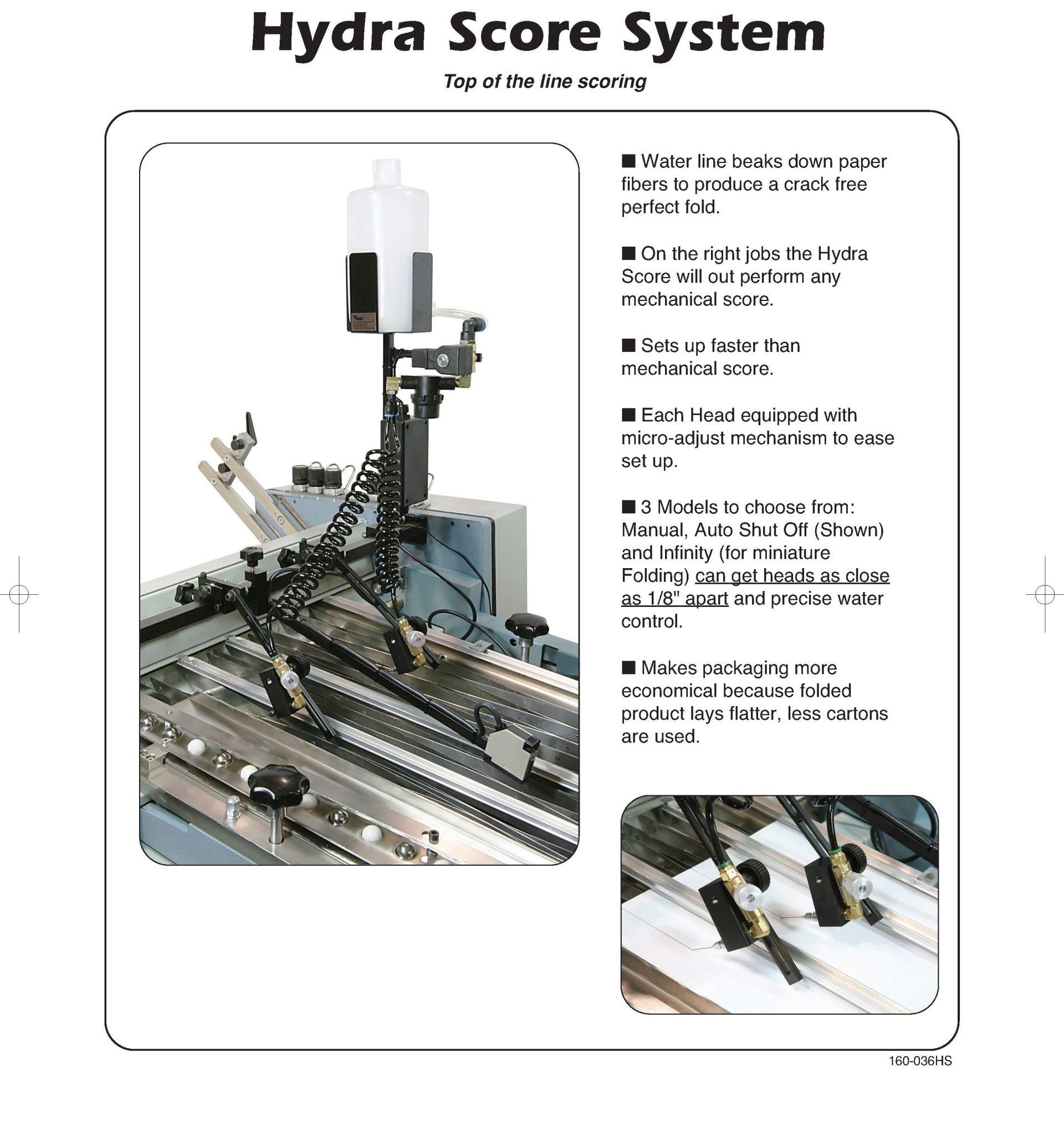 Information on Hydra Score System