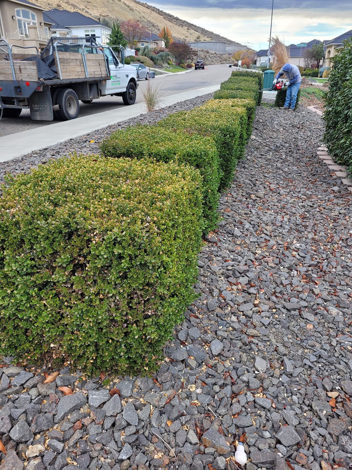 A Truck is Parked on the Side of the Road Next to a Row of Bushes — Kennewick, WA — Green Hills Landscaping LLC