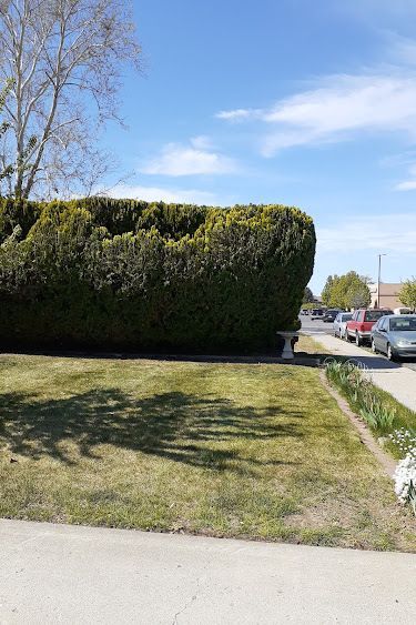 A Row of Cars are Parked on the Side of the Road — Kennewick, WA — Green Hills Landscaping LLC