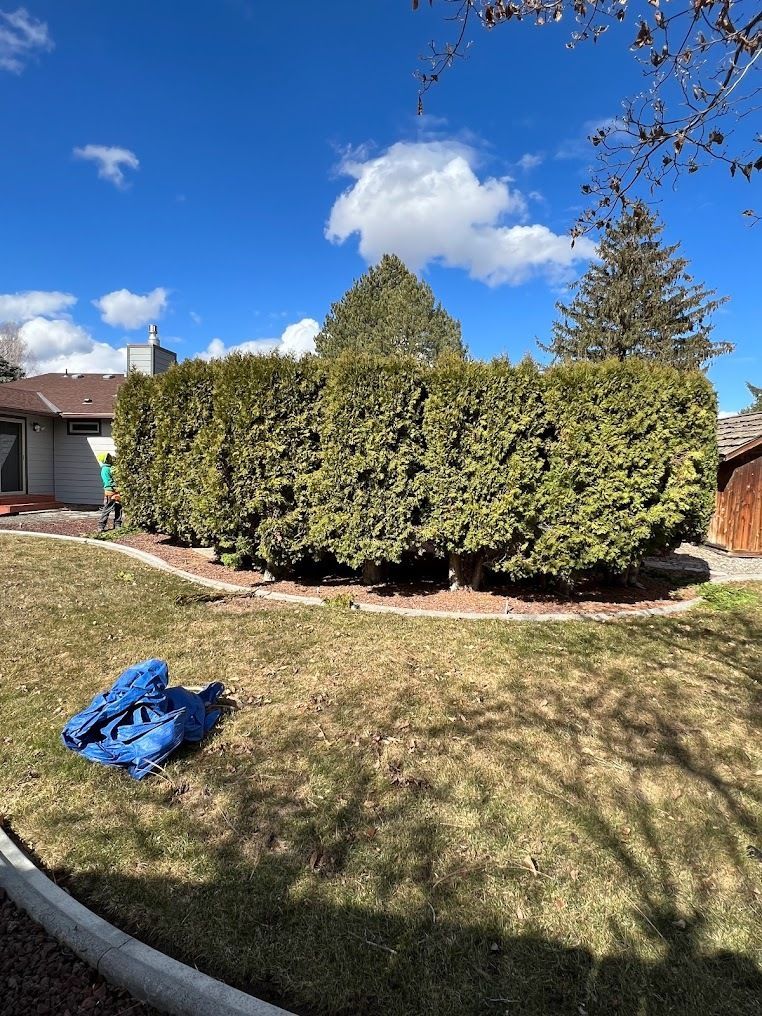 A Man is Cutting a Hedge in the Backyard of a House — Kennewick, WA — Green Hills Landscaping LLC
