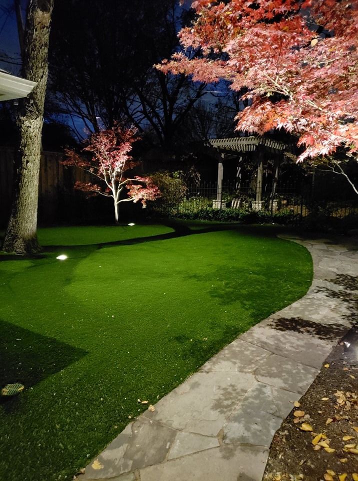 A path leading to a lush green lawn with trees lit up at night.