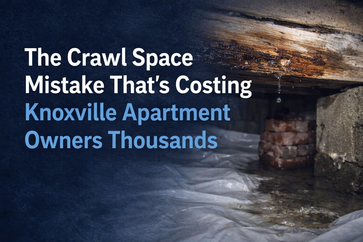 Text overlay on a wet crawl space: 