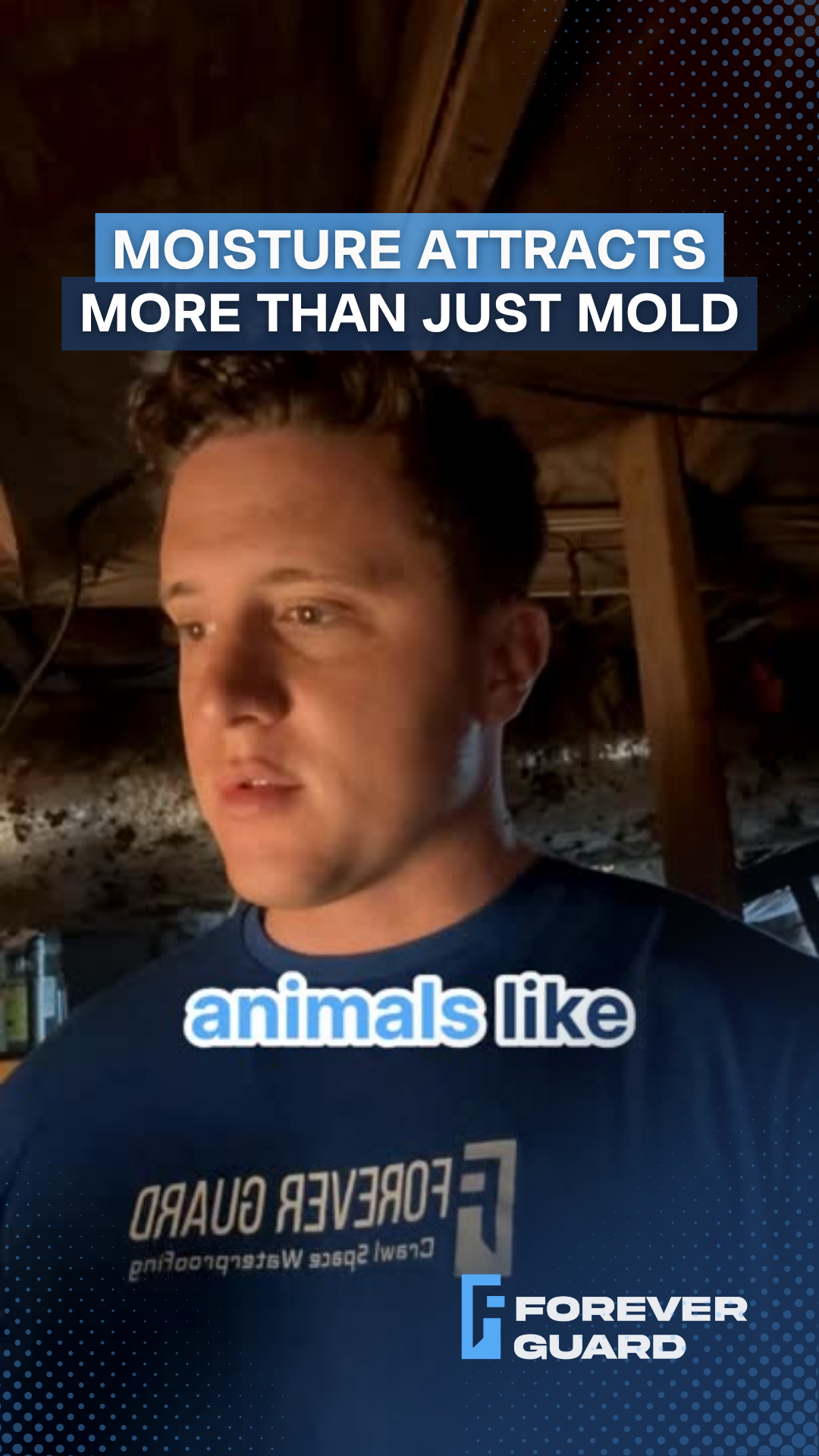 Man in a blue shirt in a damp basement, text overlay: