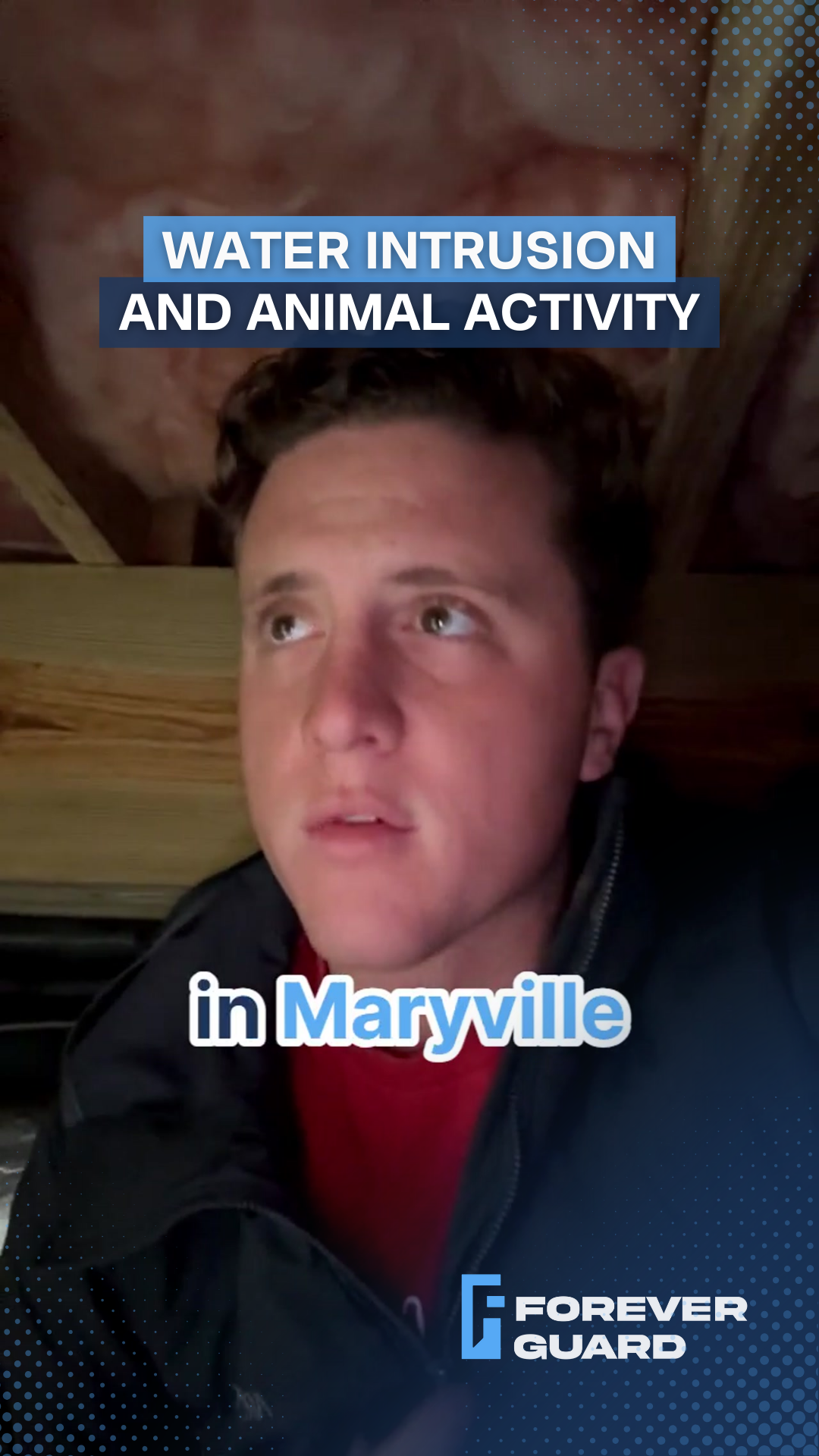 Man looking up in an attic, text overlay: 