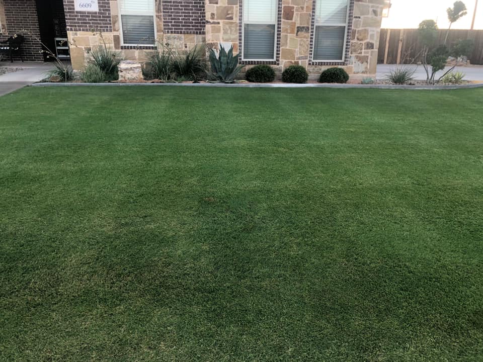 Lone Star Lawn and Landscape Abilene, TX Lawn Care Company