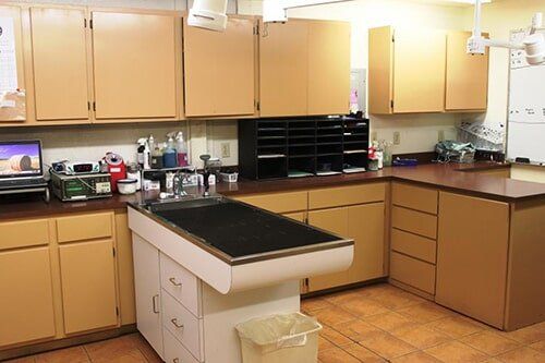 Coryell Vet Office-Gatesville, TX-Coryell Veterinary Clinic