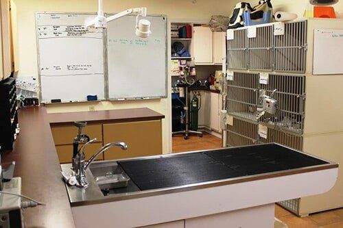 Coryell Clinc-Gatesville, TX-Coryell Veterinary Clinic